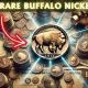 How To Spot A Rare Buffalo Nickel That Could Fetch You Big Money!