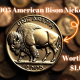 Is Your 2005 American Bison Nickel Worth Over $1,000? Find Out Now!